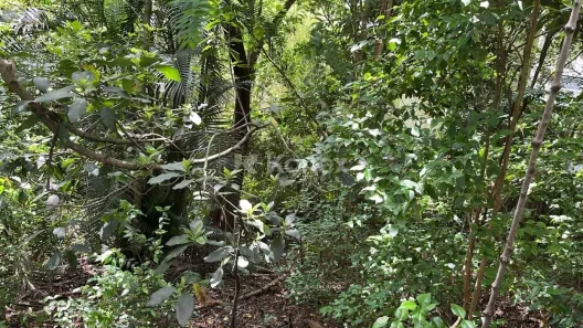 Lote/Terreno à venda, 696m² no Barro Branco (Zona Norte), São Paulo
