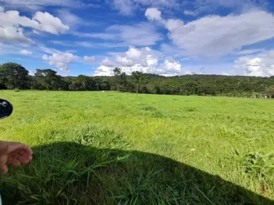 Fazenda/Sítio à venda, 4m² no , São Miguel do Passa Quatro