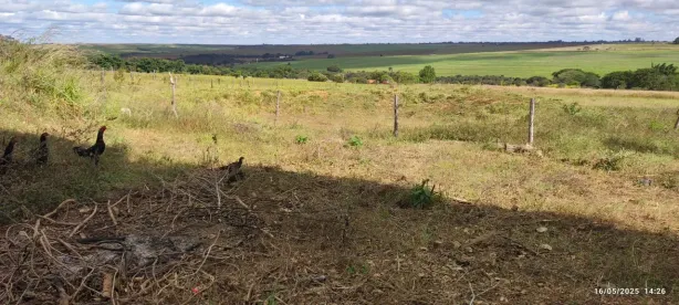 Fazenda/Sítio com 4 Quartos à venda, 20000m² no Área Rural de Planaltina, Brasília