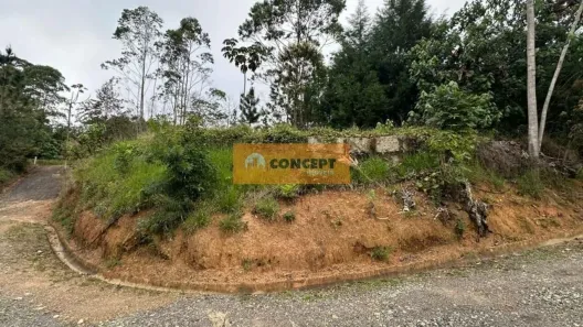Lote/Terreno à venda, 568m² no Ipelândia, Suzano
