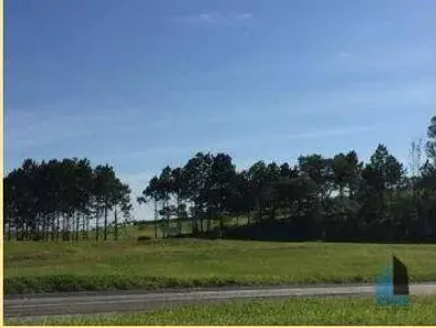 Lote/Terreno para venda ou aluguel, 10900m² no Centro, Sorocaba