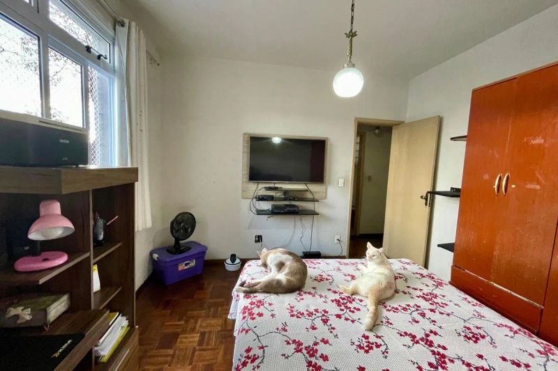Foto 19