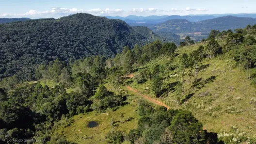 Fazenda/Sítio à venda, 32000m² no , Bocaina do Sul