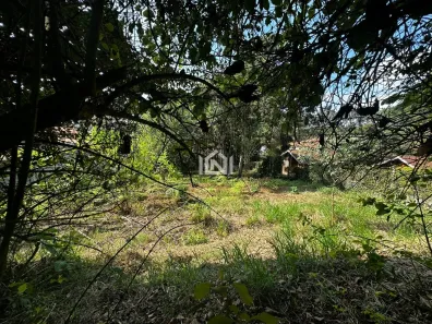 Lote/Terreno à venda, 740m² no Pinheiros Tênis Village, Cotia