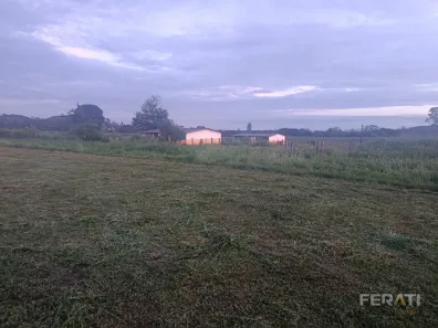 Fazenda/Sítio com 2 Quartos à venda, 20000m² no , Petrolina de Goiás