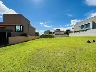 Lote/Terreno à venda, 502m² no Loteamento Santa Luisa, Ribeirão Preto