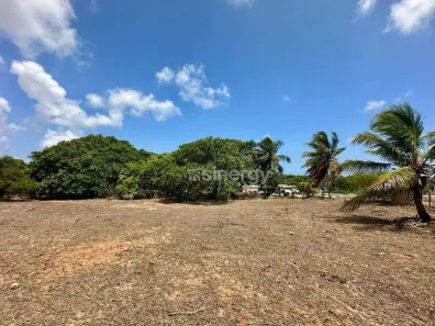 Lote/Terreno à venda, 5000m² no Cabeceiras, Tibau do Sul