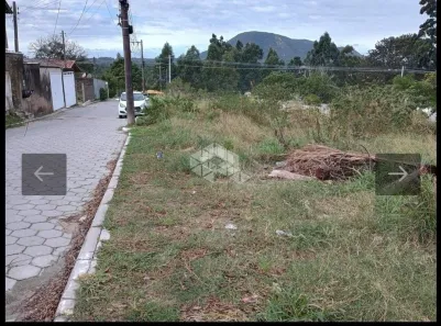 Lote/Terreno à venda, 1200m² no São João do Rio Vermelho, Florianópolis