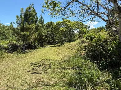 Fazenda/Sítio com 3 Quartos à venda, 100000m² no Papucaia, Cachoeiras de Macacu