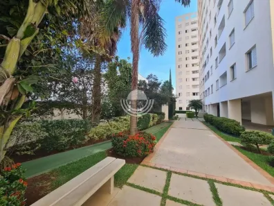 Apartamento com 2 Quartos à venda, 55m² no Jardim Dom Vieira, Campinas