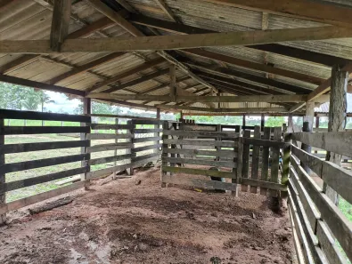 Fazenda/Sítio com 2 Quartos à venda, 810000m² no , Canutama