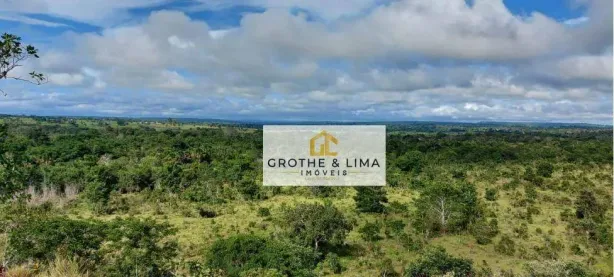Fazenda/Sítio com 10 Quartos à venda, 500m² no Zona Rural, Wanderlândia