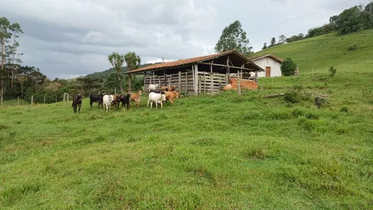 Fazenda/Sítio com 2 Quartos à venda, 80000m² no Centro, Alfredo Wagner
