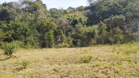 Fazenda/Sítio à venda, 20000m² no , Santo Antônio do Pinhal