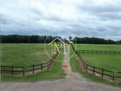 Fazenda/Sítio com 4 Quartos à venda, 266200m² no Porangaba, Porangaba