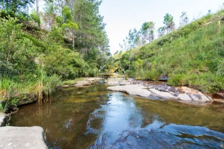 Lote/Terreno à venda, 752000m² no São Luiz do Purunã, Balsa Nova