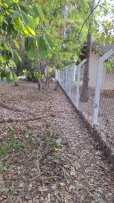 Fazenda/Sítio à venda, 1700m² no Zona Rural, Guapiaçu