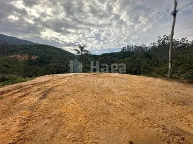 Lote/Terreno à venda, 20000m² no Alto Silva, Nova Trento