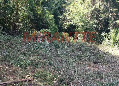 Lote/Terreno à venda, 1000m² no São Vicente, Mairiporã
