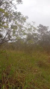 Lote/Terreno à venda, 20000m² no Setor Habitacional Jardim Botânico, Brasília