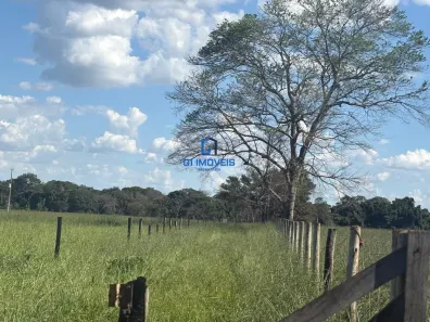 Lote/Terreno à venda, 121000m² no Setor Central, Nova Veneza
