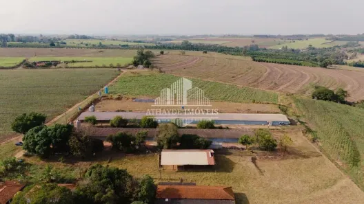 Fazenda/Sítio à venda, 48400m² no Área Rural de Mogi Mirim, Mogi Mirim