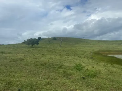 Fazenda/Sítio à venda, 128000m² no , São Sebastião do Passé