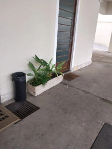 Apartamento com 3 Quartos à venda, 60m² no Floradas de São José, São José dos Campos