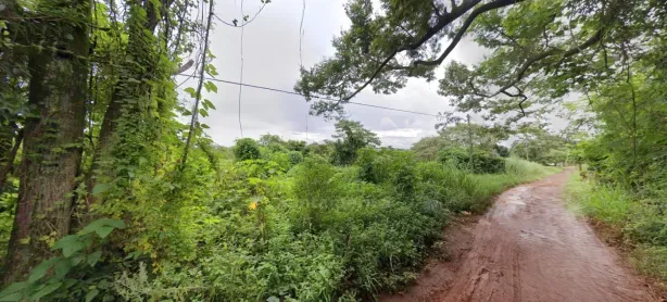 Lote/Terreno à venda, 4100m² no Lindóia, Londrina