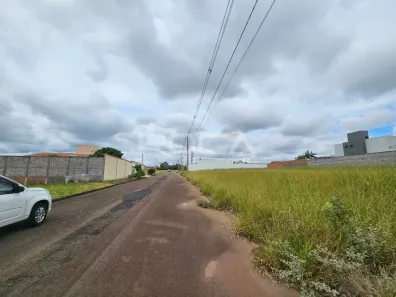 Lote/Terreno à venda, 1000m² no Loteamento Jardim Vista Alegre, São Carlos