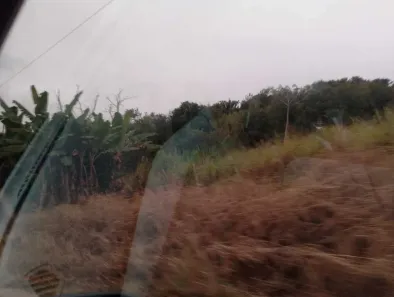 Lote/Terreno à venda, 20000m² no Bulhões, Jaboatão dos Guararapes