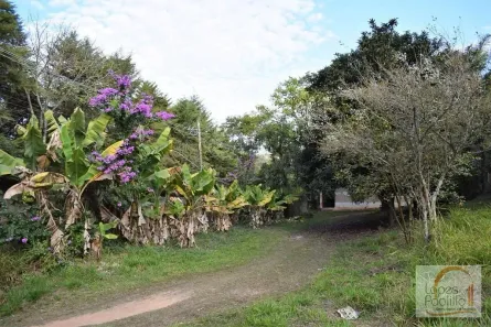 Lote/Terreno à venda, 2516m² no Jardim Estância Brasil, Atibaia