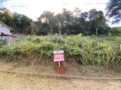 Lote/Terreno com 1 Quarto à venda, 418m² no Cônego, Nova Friburgo