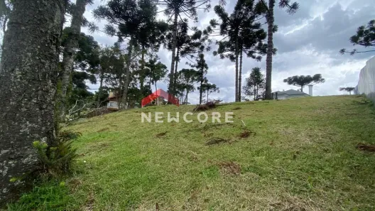 Lote/Terreno à venda, 800m² no Vale das Colinas, Gramado