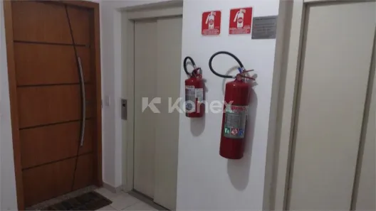 Apartamento com 2 Quartos à venda, 52m² no Vila Pierina, São Paulo