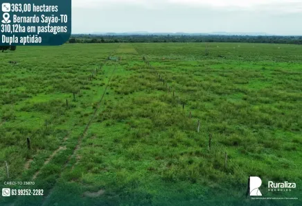 Fazenda/Sítio à venda, 774m² no , Bernardo Sayão