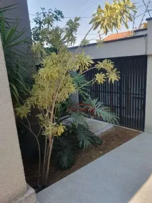 Apartamento com 2 Quartos para alugar, 37m² no Cidade Patriarca, São Paulo