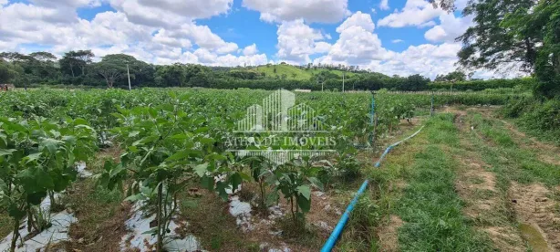 Fazenda/Sítio à venda, 20000m² no Área Rural de Jaguariúna, Jaguariúna