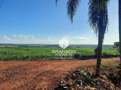 Fazenda/Sítio à venda, 242000m² no Jardim São Domingos, Maringá