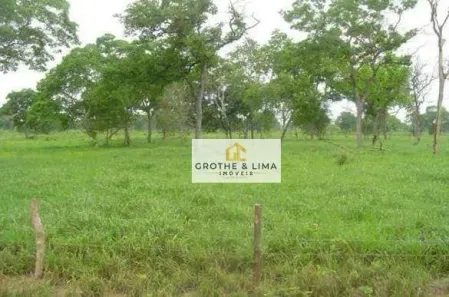 Fazenda/Sítio à venda, 1000m² no Centro, Corumbá