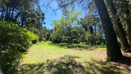 Casa com 7 Quartos à venda, 465m² no Suzana, Canela