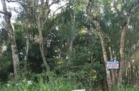 Lote/Terreno à venda, 1133m² no Caraguatá, Mairiporã