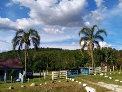 Fazenda/Sítio com 3 Quartos à venda, 20000m² no Caçapava do Sul, Caçapava do Sul