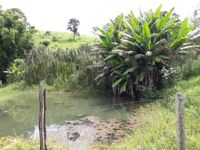 Fazenda/Sítio com 3 Quartos à venda, 20000m² no Itapeva, Itapeva
