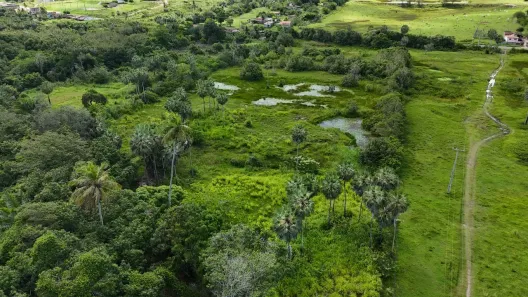 Fazenda/Sítio com 3 Quartos à venda, 125000m² no , São José de Mipibu