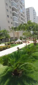 Apartamento com 3 Quartos para alugar, 77m² no Jardim das Américas 2ª Etapa, Anápolis
