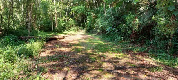 Lote/Terreno à venda, 1000m² no Caraguatá, Mairiporã