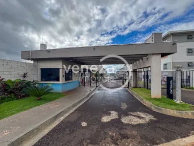 Apartamento com 2 Quartos à venda, 47m² no Jardim Maria Celina, Londrina