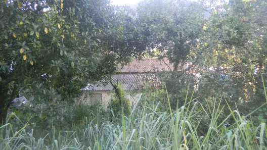 Lote/Terreno à venda, 1356m² no Marapé, Santos