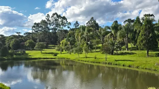 Fazenda/Sítio com 4 Quartos à venda, 21000m² no , Rio Rufino